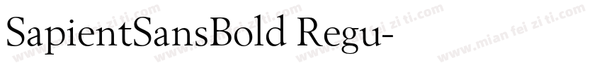 SapientSansBold Regu字体转换